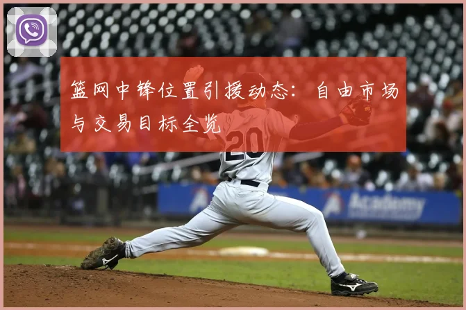 篮网中锋位置引援动态:自由市场与交易目标全览