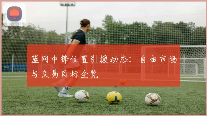 篮网中锋位置引援动态:自由市场与交易目标全览