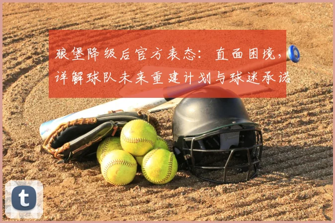 狼堡降级后官方表态：直面困境，详解球队未来重建计划与球迷承诺