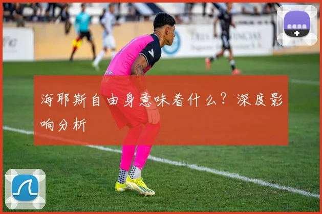 海耶斯自由身意味着什么?深度影响分析